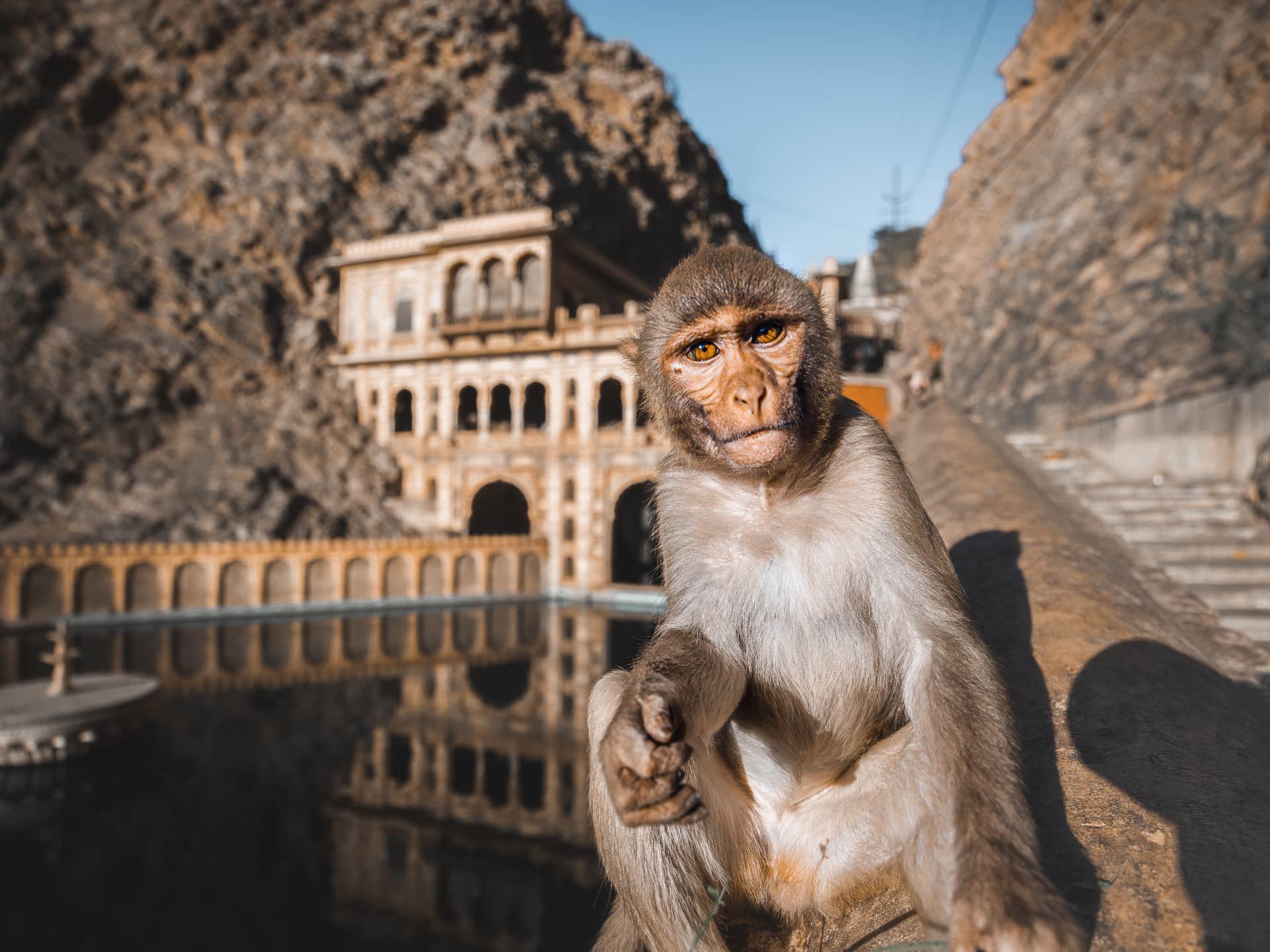 Best Jaipur Same-Day Trips
