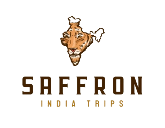 saffronindiatrips.com